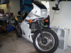 Front view lower.gif