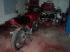 rear in red.gif