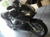 DSC01489s.JPG