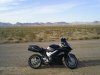 S4020324.JPG