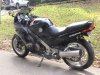 DSC00033.JPG