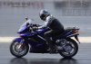 VFR_Daffy_ET0277.jpg