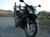 DSC00742N.JPG