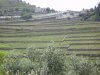 00 Douro.jpg