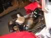 Air Horn 0031.jpg