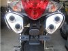 IMG_Tail 2 400x299.jpg
