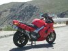 vfr1-resize.jpg