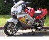 VFR800anniversary.JPG