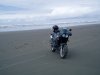 Tiger Oceanside wa.jpg