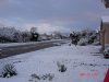 DSC00991.jpg
