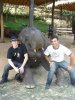 Elephant Park near Mae Rim.JPG