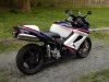 800 interceptor.jpg