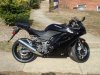 black 250.jpg