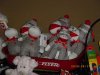 Sockey's Family (1).jpg