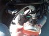 IMG00063-20100825-1039.jpg