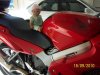 Sept 2010 005.jpg
