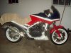 100_0799.jpg