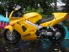 IMG_5668.jpg