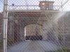 DSC01100.jpg