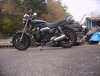 IMG_1173.jpg