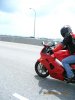 IMG_0502_R.jpg