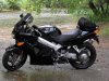SDC10825.jpg