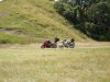 DSCN2177.jpg
