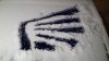 2011-02-09_19-41-29_976.jpg