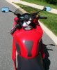 givi off top view snake skins.jpg