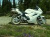 Manning Park, BC.jpg