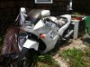 iphone pics 525.jpg