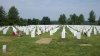 2011-06-05_11-42-33_475.jpg