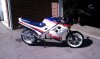 IMAG0043.jpg