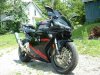 cbr951d (5).jpg