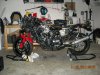 Nov 11 VKR 020.jpg