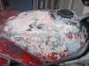 Xmas 2011 032.jpg