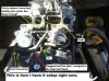 buggy8.jpg