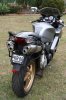 IMG_2921s.jpg