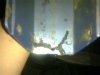 15102011073%u0025255B1%255D.jpg