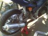 IMAG0097.jpg