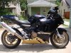 zx12seblackgold.jpg