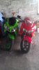 IMAG0072.jpg