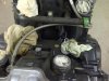 IMG-20120406-00146.jpg