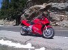 IMG_20120408_125134.jpg