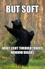 bear shakespeare.jpg