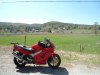 DSC00676.jpg