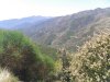 42 Las Padres National Forest (2).jpg