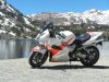 87 Ellery Lake West Yosemity.jpg