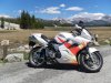 88 Alpine Meadow West Yosemity.jpg