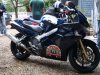 DSC05248.jpg